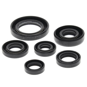 VERTEX OIL SEAL KIT (822146) - DRIVEN Canada's Powersports 822146822146