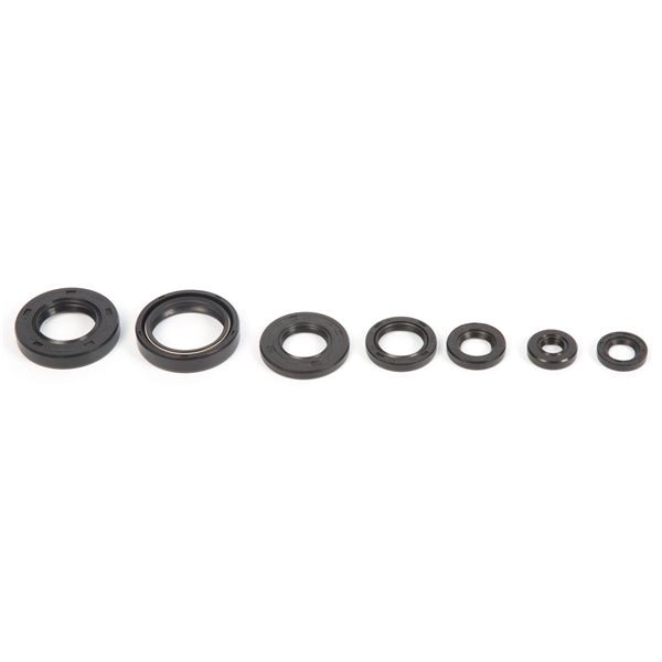 VERTEX OIL SEAL KIT (822153) - Driven Powersports Inc.822153822153