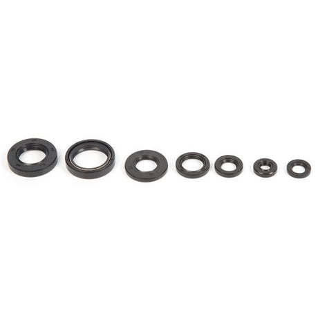 VERTEX OIL SEAL KIT (822153) - Driven Powersports Inc.822153822153