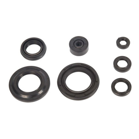 VERTEX OIL SEAL KIT (822154) - Driven Powersports Inc.822154822154