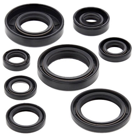 VERTEX OIL SEAL KIT (822173) - Driven Powersports Inc.822173822173