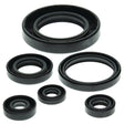 VERTEX OIL SEAL KIT (822204) - DRIVEN Canada's Powersports 822204822204