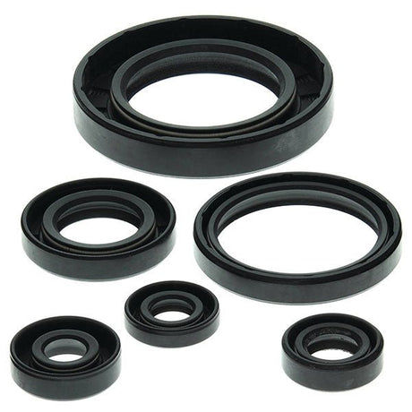 VERTEX OIL SEAL KIT (822204) - DRIVEN Canada's Powersports 822204822204