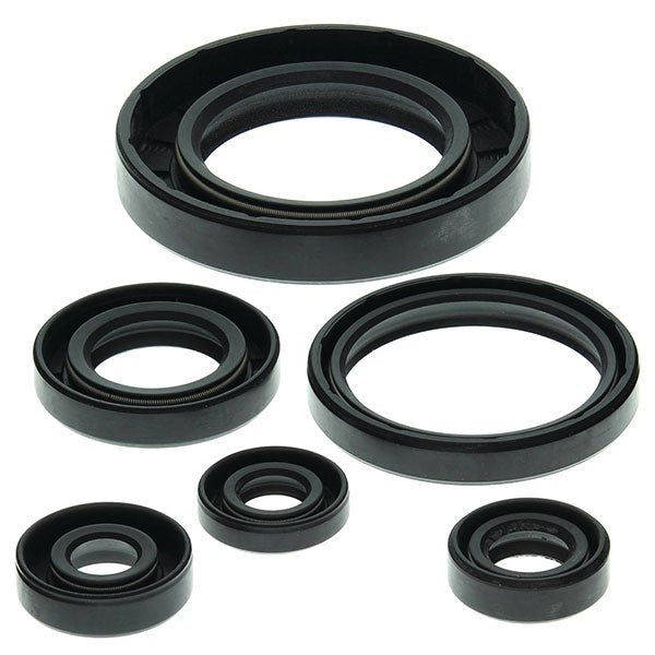 VERTEX OIL SEAL KIT (822204) - DRIVEN Canada's Powersports 822204822204