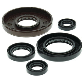 VERTEX OIL SEAL KIT (822208) - DRIVEN Canada's Powersports 822208822208