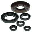 VERTEX OIL SEAL KIT (822209) - DRIVEN Canada's Powersports 822209822209