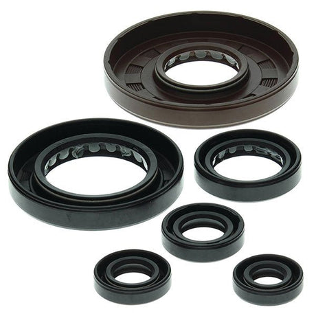 VERTEX OIL SEAL KIT (822209) - DRIVEN Canada's Powersports 822209822209