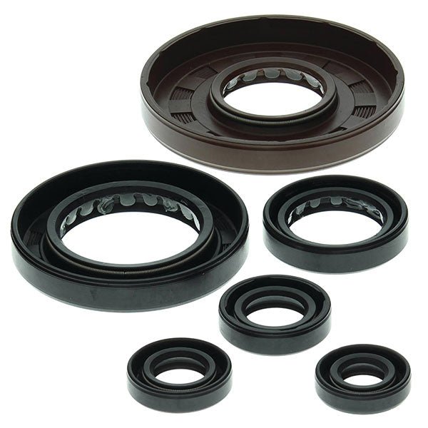 VERTEX OIL SEAL KIT (822209) - DRIVEN Canada's Powersports 822209822209