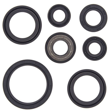 VERTEX OIL SEAL KIT (822232) - Driven Powersports Inc.822232822232
