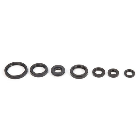 VERTEX OIL SEAL KIT (822232) - Driven Powersports Inc.822232822232