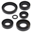 VERTEX OIL SEAL KIT (822242) - DRIVEN Canada's Powersports 822242822242