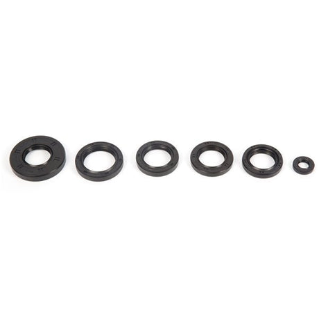 VERTEX OIL SEAL KIT (822251) - Driven Powersports Inc.822251822251
