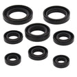 VERTEX OIL SEAL KIT (822255) - DRIVEN Canada's Powersports 822255822255
