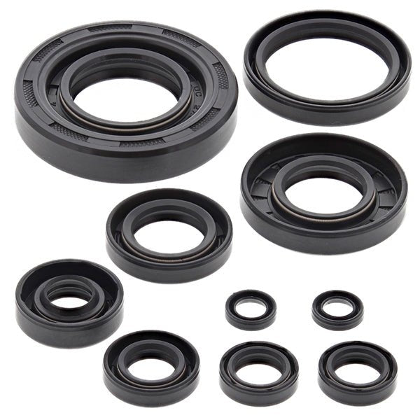 VERTEX OIL SEAL KIT (822304) - Driven Powersports Inc.822304822304