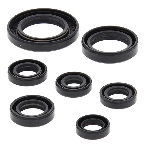 VERTEX OIL SEAL KIT (822311) - Driven Powersports Inc.822311822311
