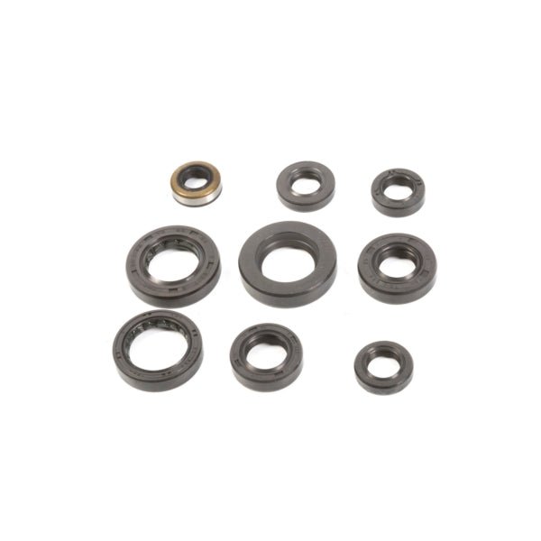 VERTEX OIL SEAL KIT (822341) - Driven Powersports Inc.822341822341