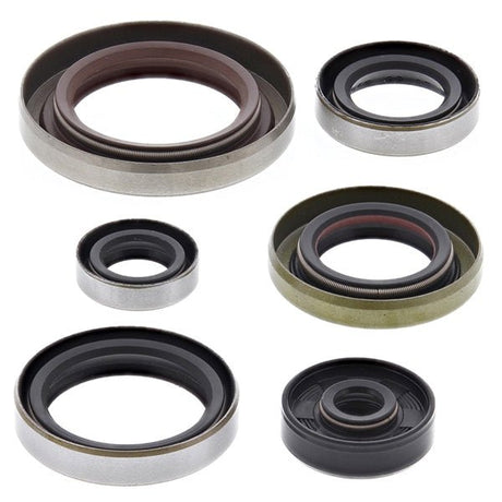 VERTEX OIL SEAL KIT (822348) - Driven Powersports Inc.822348822348
