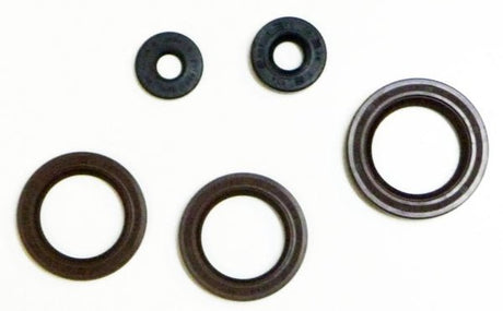 VERTEX OIL SEAL KIT (822362) - Driven Powersports Inc.822362822362
