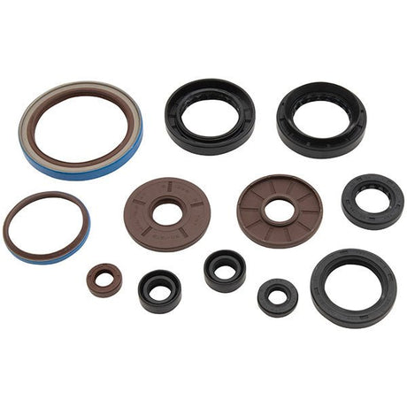 VERTEX OIL SEAL KIT (822385) - Driven Powersports Inc.822385822385