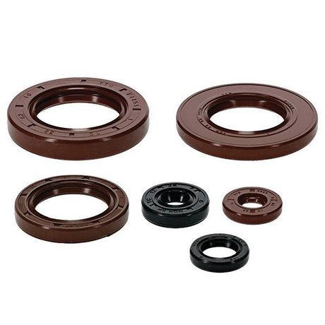 VERTEX OIL SEAL KIT (822390) - Driven Powersports Inc.534822390822390