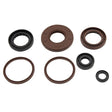 VERTEX OIL SEAL KIT (822384) - Driven Powersports Inc.822384822384
