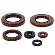 VERTEX OIL SEAL KIT (822390) - Driven Powersports Inc.534822390822390