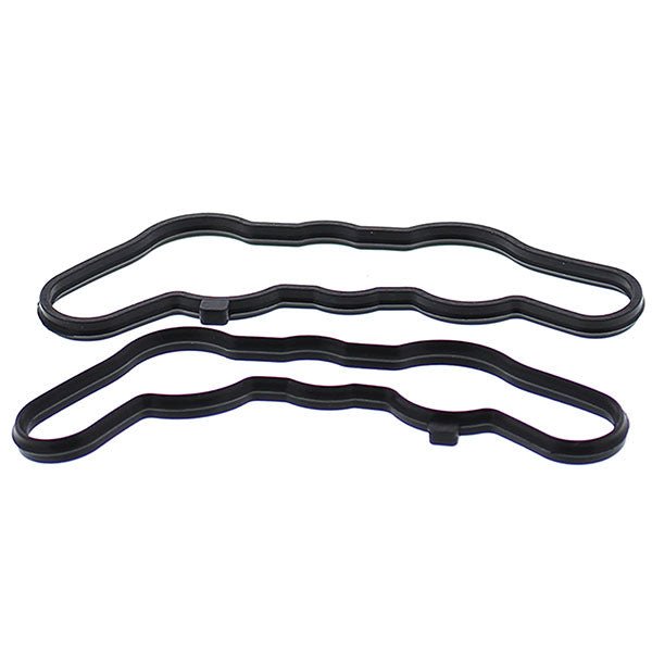 VERTEX POWER VALVE GASKET KIT (719122) - Driven Powersports Inc.719122719122