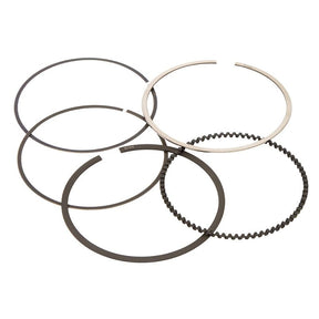 VERTEX REPLACEMENT RING (5,90385E+11) - Driven Powersports Inc.5903850000025,90385E+11