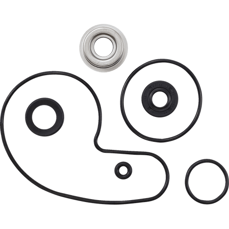 VERTEX WATER PUMP REBUILD KIT (721217) - DRIVEN Canada's Powersports 714205007756721217