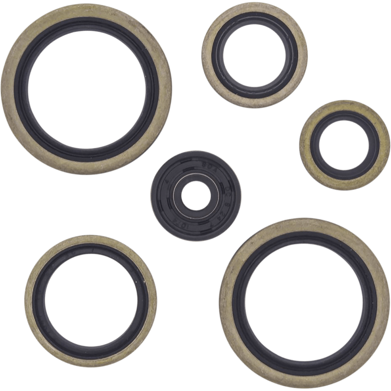 WINDEROSA OIL SEAL KIT (822187) - DRIVEN Canada's Powersports 822187