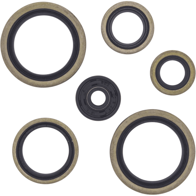 WINDEROSA OIL SEAL KIT (822187) - DRIVEN Canada's Powersports 822187