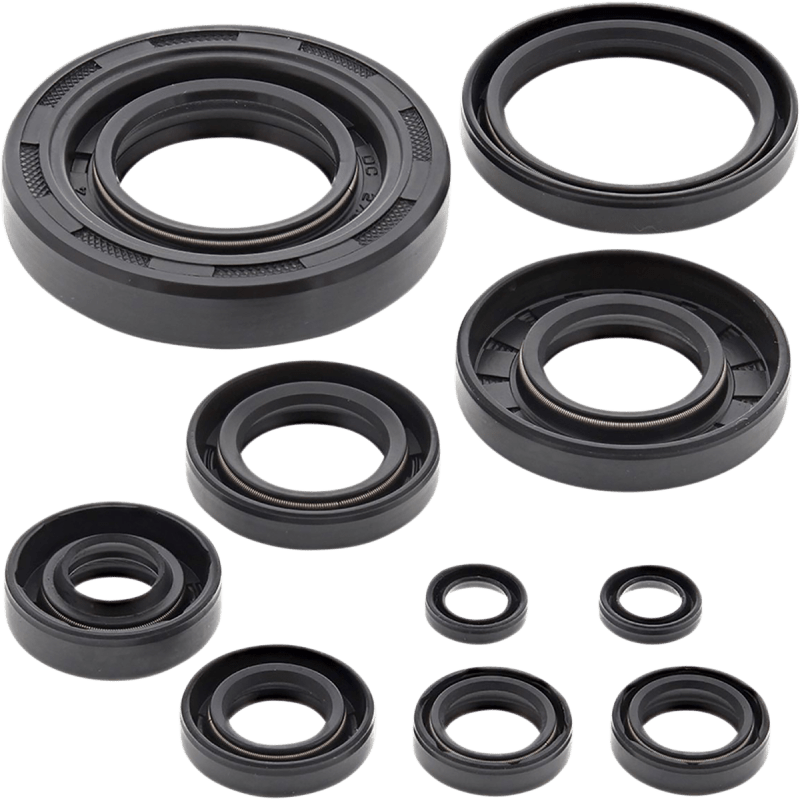 WINDEROSA OIL SEAL KIT (822304) - DRIVEN Canada's Powersports 822304