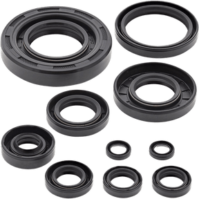 WINDEROSA OIL SEAL KIT (822304) - DRIVEN Canada's Powersports 822304
