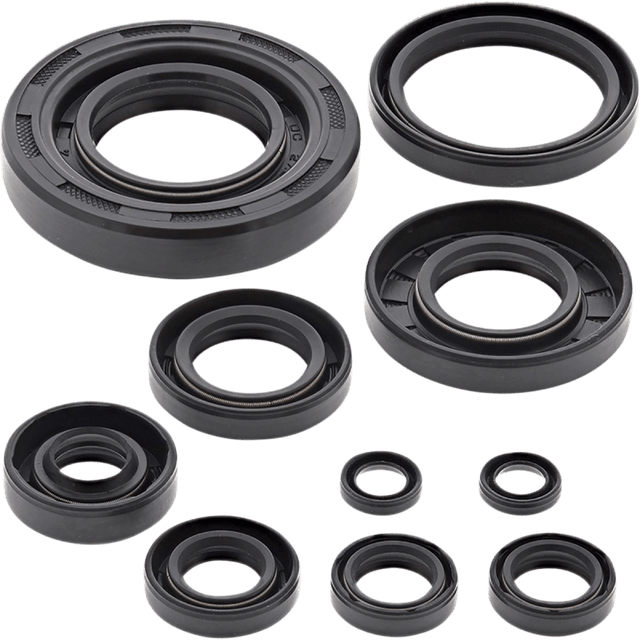 WINDEROSA OIL SEAL KIT (822304) - DRIVEN Canada's Powersports 822304