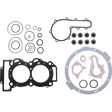 WINDEROSA GASKET KIT COMPLETE POL (808963) - DRIVEN Canada's Powersports 808963