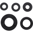 WINDEROSA OIL SEAL SET MSE HON (822990) - DRIVEN Canada's Powersports 822990