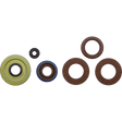 WINDEROSA OIL SEAL SET MSE POL (822198) - DRIVEN Canada's Powersports 822198