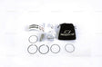 WISECO PISTON REPLACEMENT PISTON (4382M06600) - DRIVEN Canada's Powersports 1935641251704382M06600