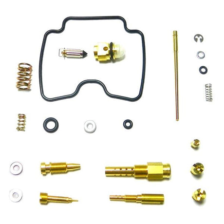 WSM CARBURETOR KIT (016 - 221) - DRIVEN Canada's Powersports 865369331185016 - 221