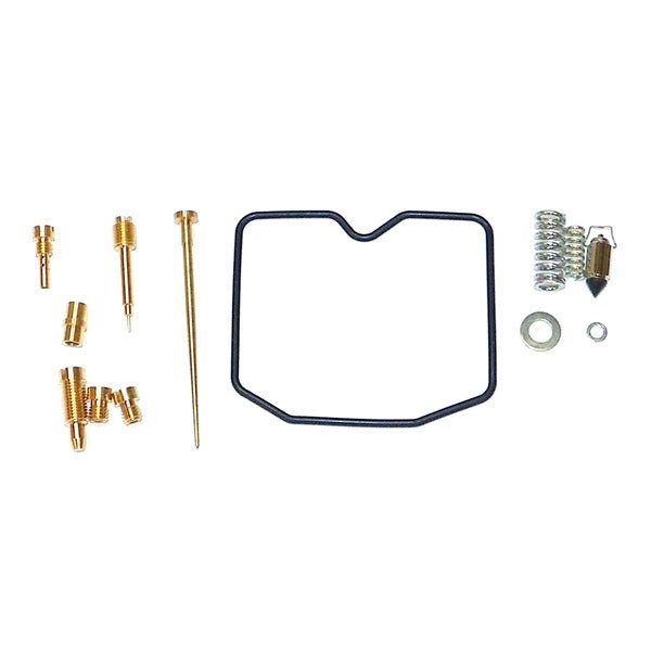 WSM CARBURETOR KIT (016 - 224) - DRIVEN Canada's Powersports 865369139729016 - 224