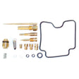 WSM CARBURETOR KIT (016 - 313) - DRIVEN Canada's Powersports 865369142446016 - 313