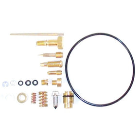 WSM CARBURETOR KIT (016 - 326) - DRIVEN Canada's Powersports 865369089444016 - 326