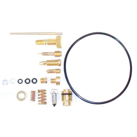 WSM CARBURETOR KIT (016 - 326) - DRIVEN Canada's Powersports 865369089444016 - 326