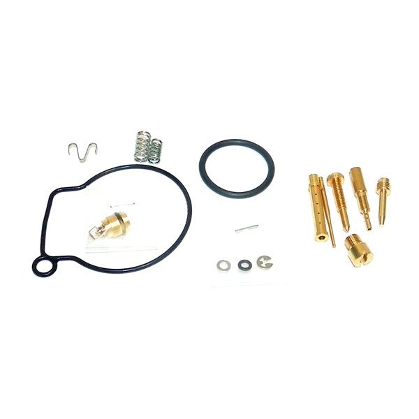 WSM CARBURETOR KIT (016 - 419) - DRIVEN Canada's Powersports 865369355624016 - 419
