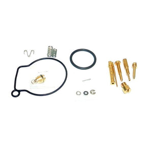 WSM CARBURETOR KIT (016 - 419) - DRIVEN Canada's Powersports 865369355624016 - 419