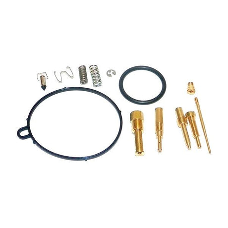 WSM CARBURETOR KIT (016 - 420) - DRIVEN Canada's Powersports 865369224067016 - 420