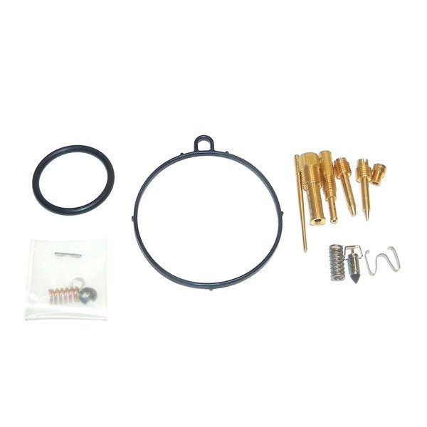 WSM CARBURETOR KIT (016 - 422) - DRIVEN Canada's Powersports 865369361250016 - 422