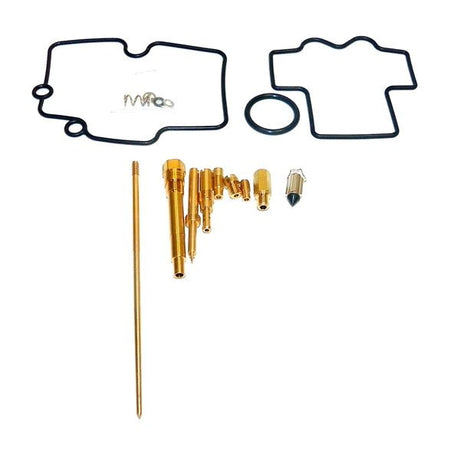 WSM CARBURETOR KIT (016 - 713) - DRIVEN Canada's Powersports 865369249459016 - 713