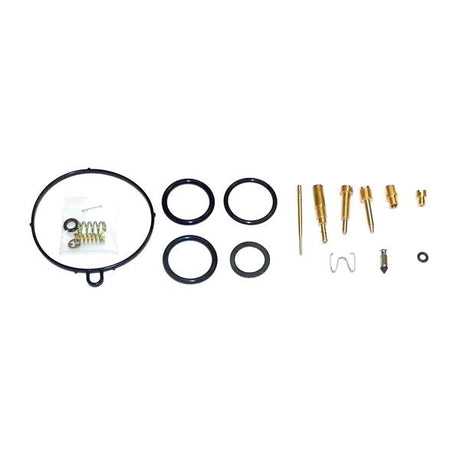 WSM CARBURETOR KIT (016 - 716) - DRIVEN Canada's Powersports 865369304042016 - 716
