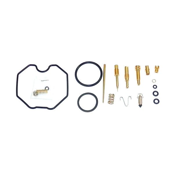 WSM CARBURETOR KIT (016 - 718) - DRIVEN Canada's Powersports 865369192618016 - 718